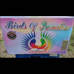 RACCOON BIRDS OF PARADISE