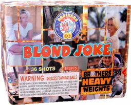 BROTHERS BLOND JOKE