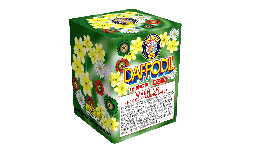 Brothers Daffodil